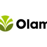 olam2960