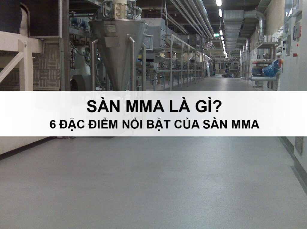 Sàn MMA là gì? 6 đặc điểm nổi bật của sàn MMA