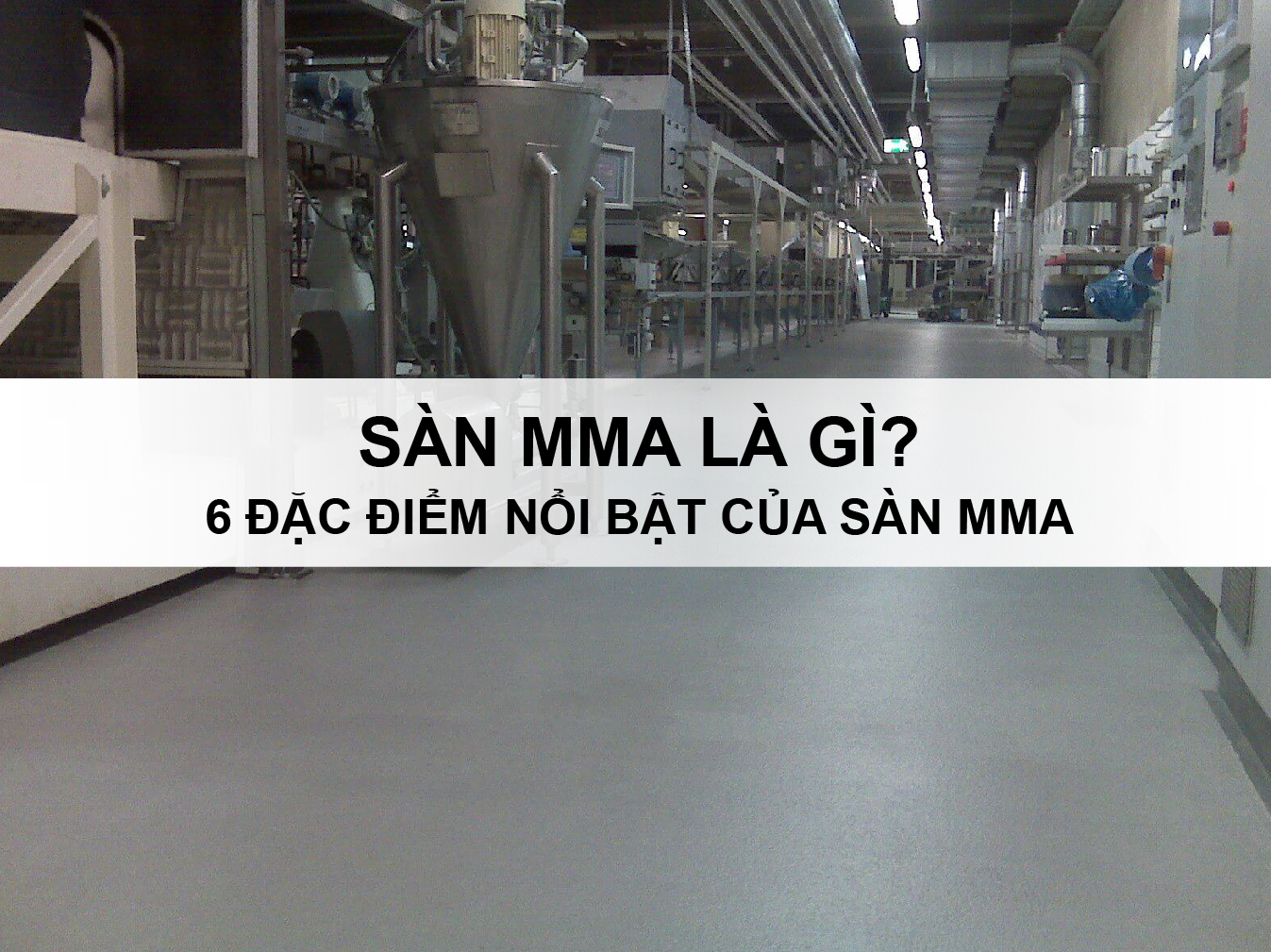 Sàn MMA là gì? 6 đặc điểm nổi bật của sàn MMA