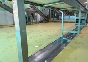 NHÀ MÁY GREEN COCO